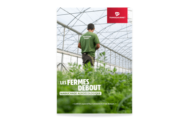 Les Fermes Debout, maraîchage agroécologique