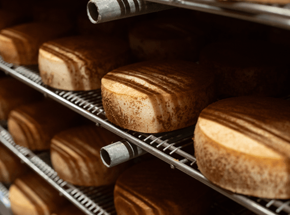 Tommes de Normandie en cave d'affinage