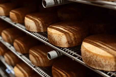 Tommes de Normandie en cave d'affinage