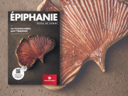 Transgourmet - revue de gamme Epiphanie