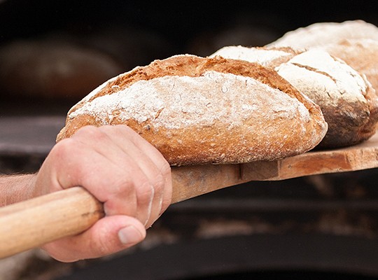 Boulangerie - Transgourmet, grossiste alimentaire