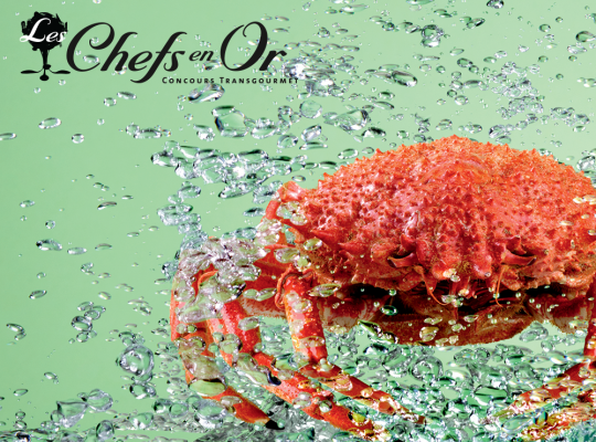 Concours culinaire "Les Chefs en Or" - Transgourmet, fournisseur restauration Concours culinaire "Les Chefs en Or" - Transgourmet, grossiste alimentaire