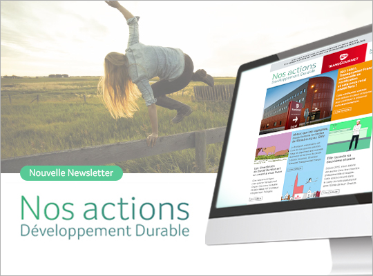 Newsletter développement durable 